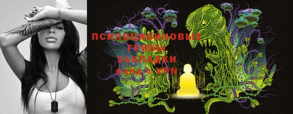 MESCALINE Бородино