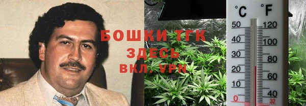 MESCALINE Бородино
